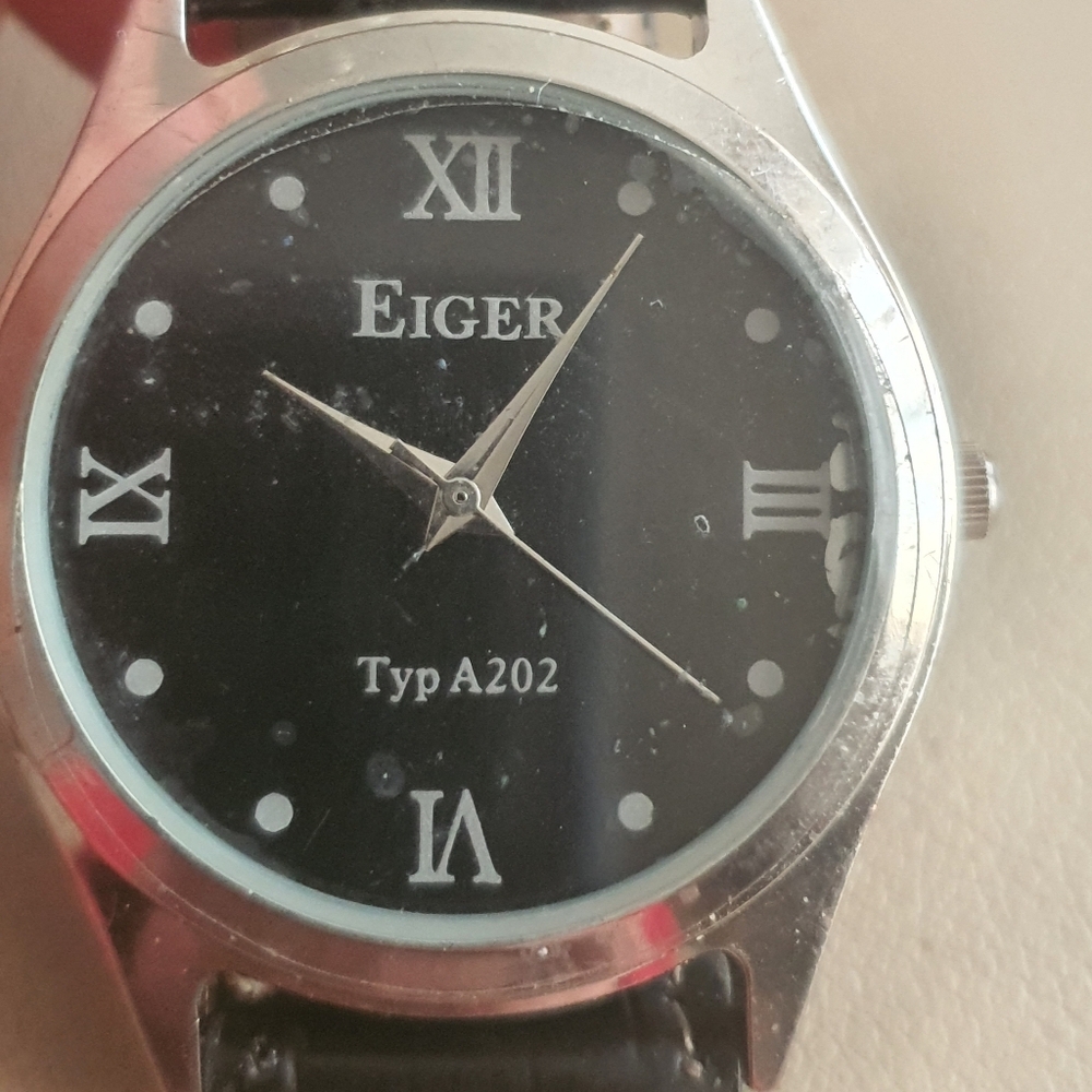 10/$20 Eiger Typ A202 Silver/Black Leather Men's Watch
